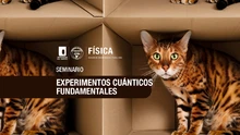 Experimentos Cuánticos Fundamentales