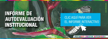 Informe de autoevaluación Institucional