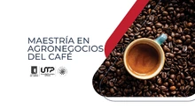 Maestría Agronegocios del Cafe