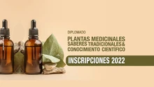 Diplomado en Plantas Medicinales