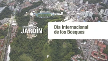 Día Internacional de los Bosques