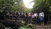 En el día de la Tierra, uniquindianos recorrieron el relicto boscoso “Cedro Rosado”