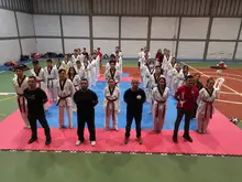 Taekwondo
