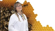 20 de mayo, Día Mundial de las Abejas