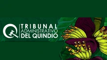 Tribunal Administrativo