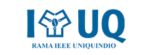 IEEE UQ