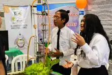 Divulgación de los Resultados 