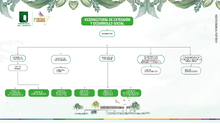 Vicerrectoría de Extensión y Desarrollo Social - Organigrama 2023